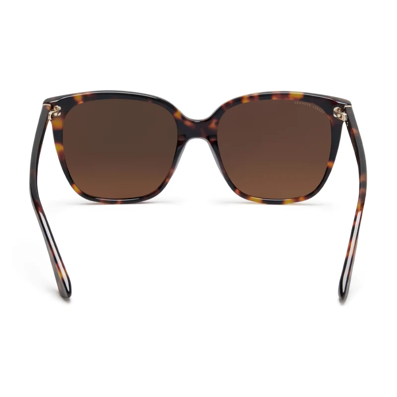 Isabel Bernard La Villette Femmes Lunettes de Soleil Marron IB400007-14-14